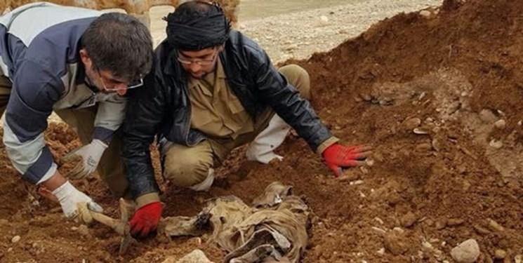 پیکر یک شهید با پلاک در فکه تفحص شد