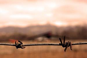 الهی ترکش طلائیه نصیبت بشه!