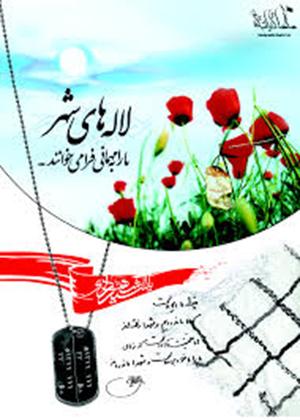 شعری برای تکاوران ارتشی که مدافع حرم شدند