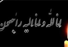 مادر شهیدان چهره برقی به فرزندان شهیدش پیوست