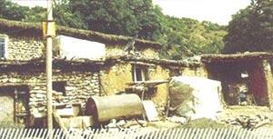 ضربات چوب و کابل بعد از چند ساعت ماندن در آب سرد رودخانه