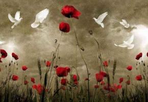 جانباز 70 درصد «سلیمان مظفری» به یاران شهیدش پیوست