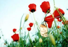 دیدار معاون فرهنگی بنیاد تهران با خانواده شهیدان کاشفی