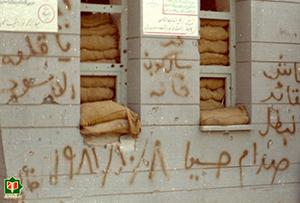 آمده بودند، بمانند