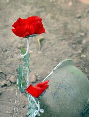 آن مدت اصلاً غذای پختنی نخوردیم