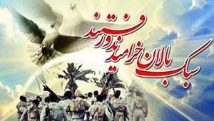 برگزاری یادبود شهدای مدافع حرم در اردبیل