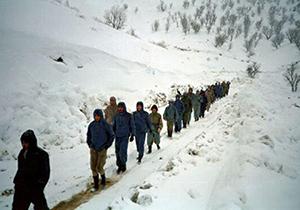 قلوب گرم در دل سرما