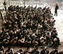 دست بسته به اجبار در خون بهترین دوستان می غلتیدیم