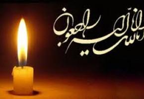 مراسم یادبود مادر شهید آجرپز برگزار می شود