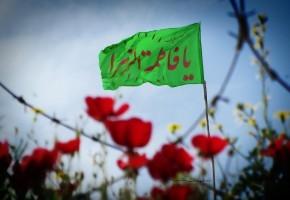 مادر شهید «علی‌اکبر سقاباشی نایینی» به فرزند شهیدش پیوست