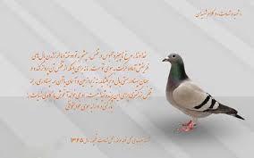 شهدا اجازه کمرنگ شدن راه و امام و انقلاب را ندادند