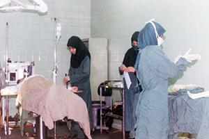 روایت یک پزشک شهید از اهدای خون به مجروحان