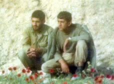 سومار منطقه ای مملو از مارهای سمی