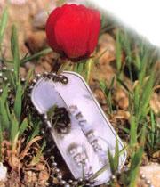 جسمش را باید به عنوان رزمنده مقاوم در موزه نگه می‌داشتند