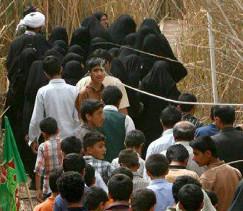 نی‌ها، در طول سفر تاریخ، مأمنی شده‌اند برای پیکرهای نحیفی که مانده‌اند