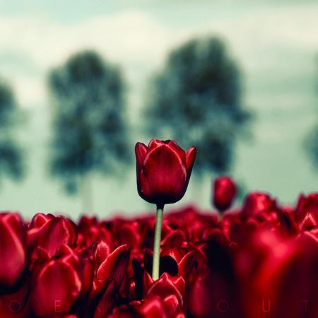 مادری که دخترش را در قلب خرمشهر به یادگار گذاشت