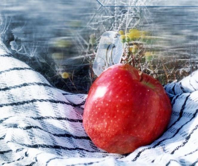 عاشقانه هایی در کنار زلال ولایت