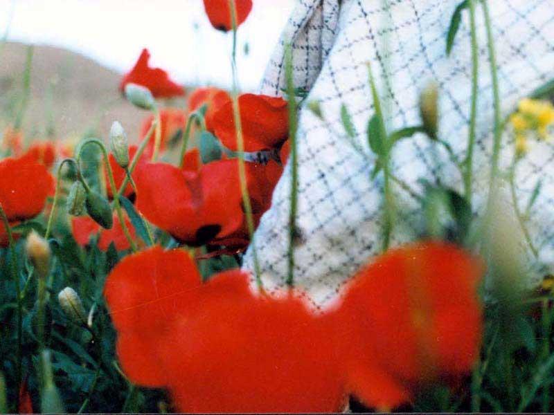 بهشت زیبای من همین ارتباط با شهدا است