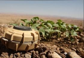 قاب عکسی که خبر شهادت داد