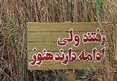 شهیدی که دغدغه‌اش مخابره اخبار جنگ بود
