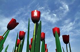 بهمنی از بمب‌های دشمن