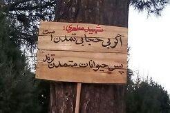 تابلوهای خاص به تهران می‌آیند + عکس