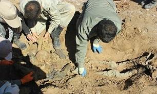 20 پیکر شهید را در ازای تحویل یک جسد افسر عراقی گرفتیم!