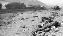 منافقین سر و اعضای بدن همسرم را جدا کرده بودند