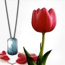 دردهای بانوی جانباز سنندجی