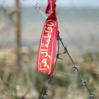 منافقین بدانند که کورکورانه به این راه نرفته‌ام