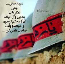 شهیدی که در حرم امام رضا (ع) آرام گرفت