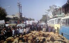 عکس / مانور غیرت همدانی ها