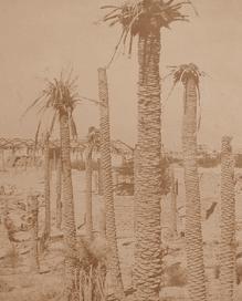 روزهاي مقاومت2