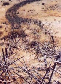 آخرين بازمانده از نسلي گم شده (قسمت اول )