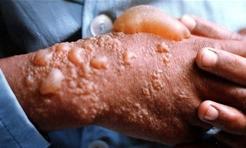 این صحنه مو را به تن آدم راست می‌کند