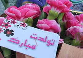 تصاویر/ جشن تولد شهید محمد غفاری بر سر مزار