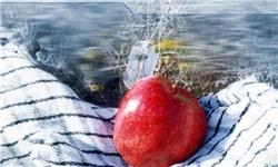  سبک زندگی شهدا باید با سبک زندگی دانشجویان همراه شود