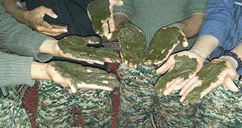 حنابندان «مدافعان حرم» در «عملیات محرم»