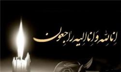 مادر شهیدان خادم سیدالشهداء به فرزندان شهیدش پیوست