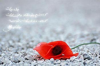 عیدی امام زمان(عج) به «بچه های تفحص» در نیمه شعبان!