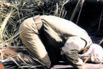 سلام آشنای دیروز / دل نوشته زهرا استاد حسن معمار