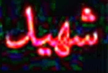 اهداف مقدس امام راحل مسیر برادرم را مشخص کرد