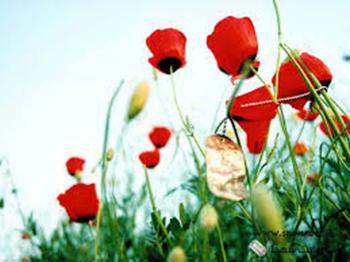 ترفند یک پزشک برای رهایی از اسارت