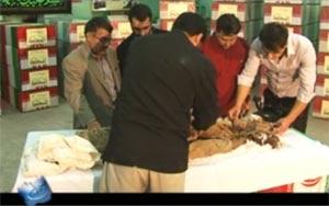 مستند کوچه معراج/ ویژه شهید احمد صداقتی 