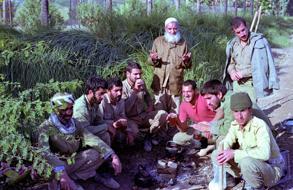 در جبهه كارتان بخور و بخواب است