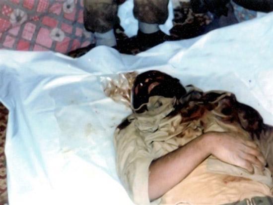  خاطرات مصور از شهید «میرشعبان جعفری»