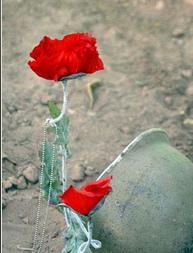 ميهمان يونس (شهيد حسن كارآمد)