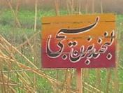 لبخند بزن دلاور ، چرا اخم؟!