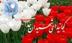 نوشته‌های تکان‌دهنده یک دختر شهیده