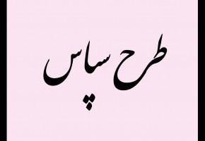 تجلیل از صبر و استقامت خانواده های شاهد وایثارگر پاکدشتی